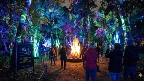 ¡Extendida hasta enero 2026! 'Light Cycles' Sigue Iluminando el Bosque de Chapultepec: Una Experiencia Inmersiva Nocturna que Maravilla a la CDMX y al Mundo
