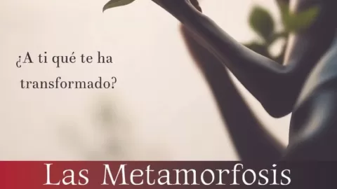 Gran Estreno: 'La Metamorfosis' ilumina el Foro Bellescene de CDMX con una propuesta teatral que desafía los límites de la transformación